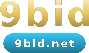 9bid logo